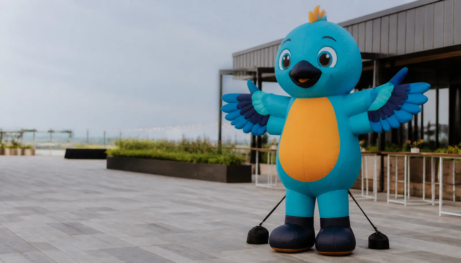 Inflatable Mascot or Air Dancer? Choosing a Brand Display for Events in South Africa